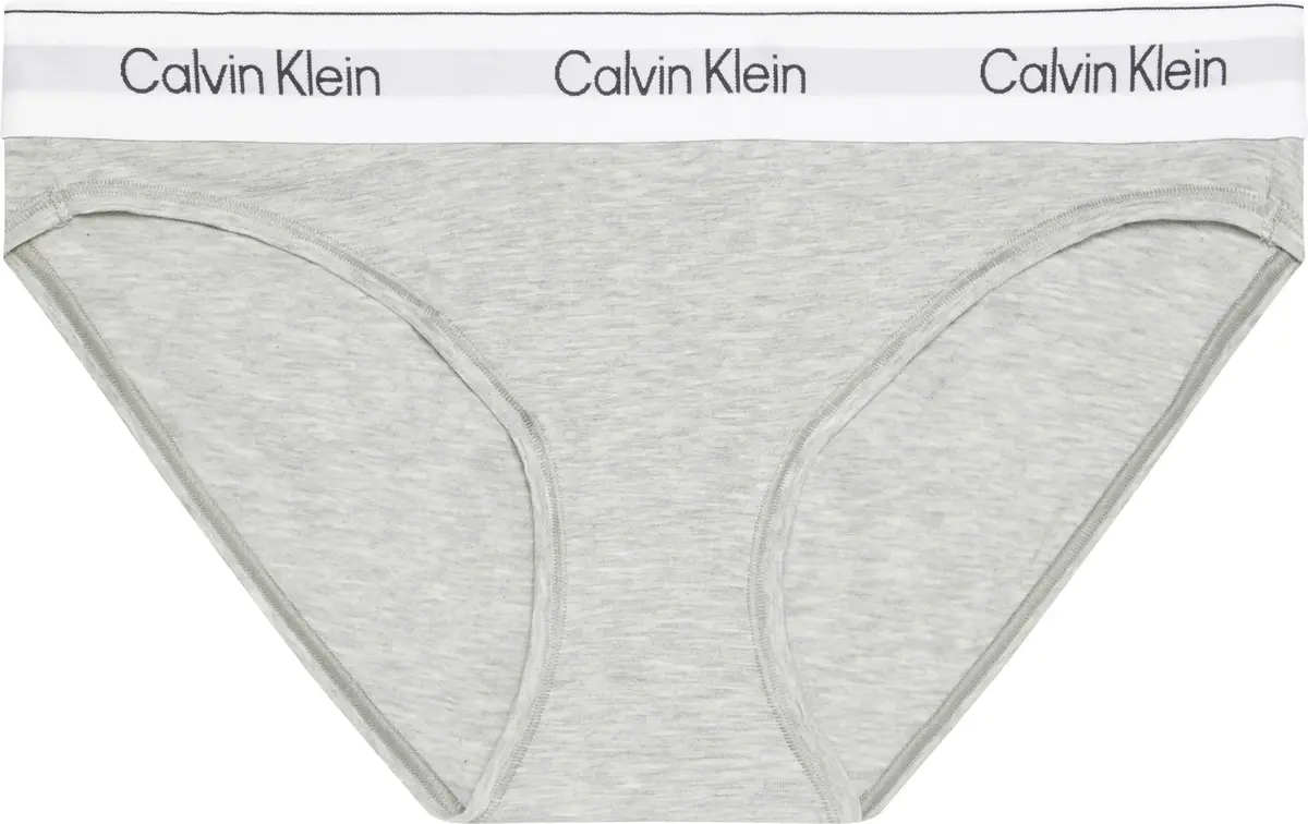 Calvin Klein BIKINI Kadın Gri Bikini Alt