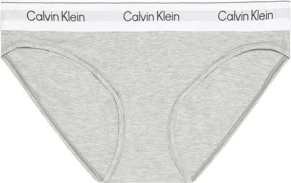 Calvin Klein BIKINI Kadın Gri Bikini Alt