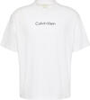 Calvin Klein SS STANDARD LOGO 30S CREWNK TEE Beyaz Erkek T-Shirt