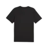 Puma GRAPHICS SEASONS UNISEX TEE Siyah Erkek T-Shirt & Polo