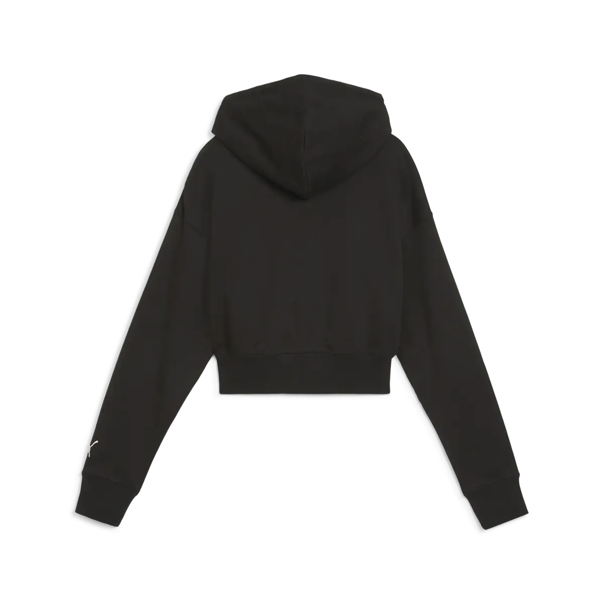 Puma PUMA TEAM Cropped Hoodie Siyah Kadın Hoodie