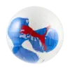 Puma individualRISE Graphic ball Beyaz Erkek Futbol Ekipmanı