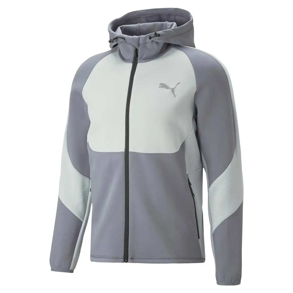 Puma EVOSTRIPE Full-Zip Hoodie DK Gray Tile Erkek/Unisex Hoodie