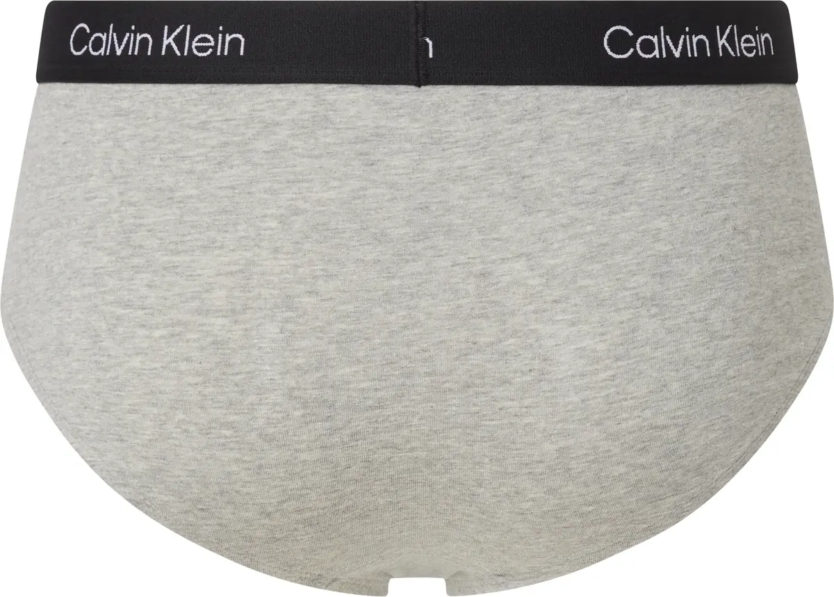 Calvin Klein HIP BRIEF Erkek Gri Slip