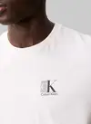 Calvin Klein SS 30s EU SP CK ABSTRACT GRAPHIC Beyaz Erkek Tişört