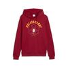 Puma GSK FtblCulture Hoodie GALATASARAY FtblCulture Erkek Kapüşonlu SWEATSHIRT