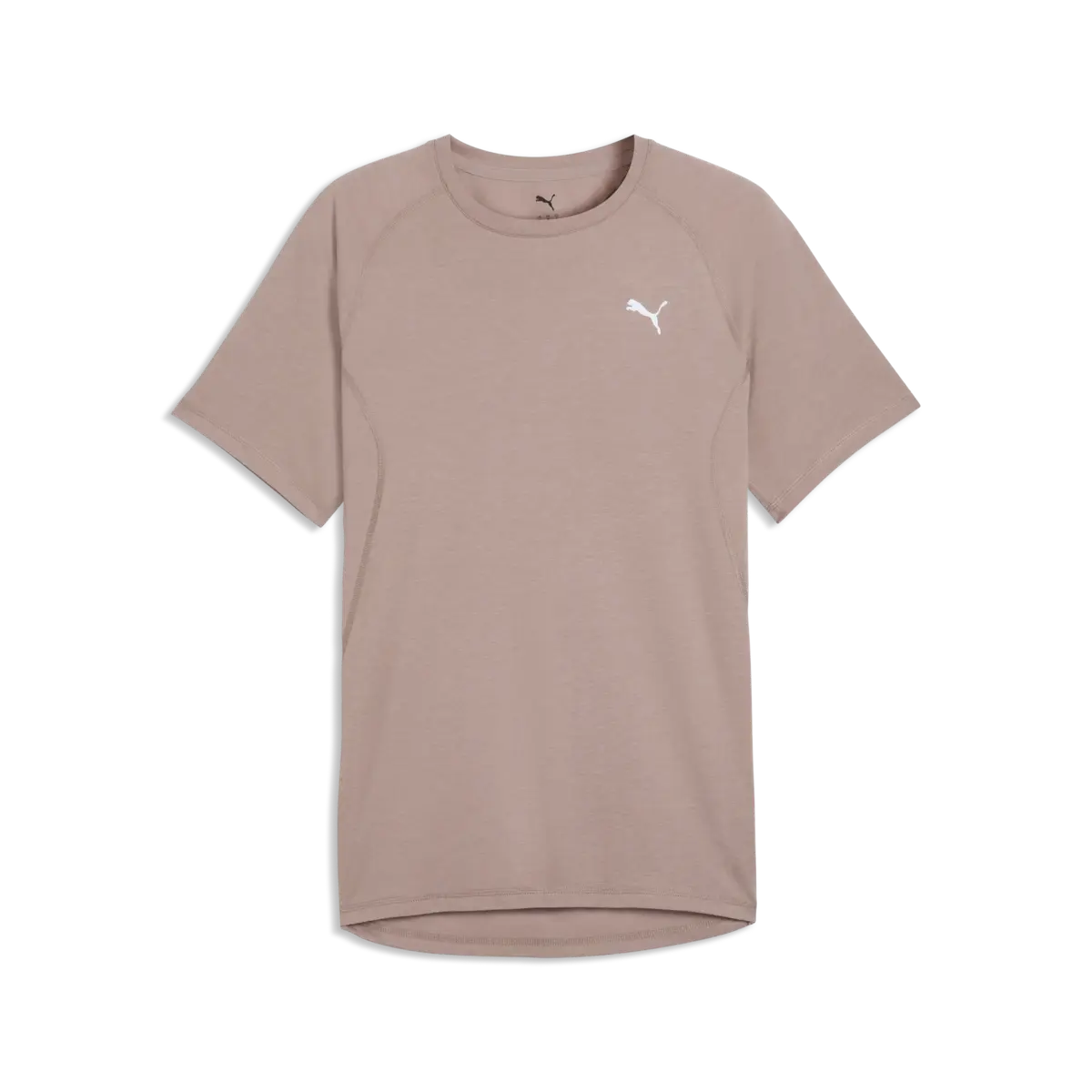 Puma RUN  VELOCITY TEE TRI-BLEND Bej Erkek T-Shirt