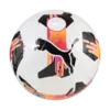 Puma Orbita 6 MS Beyaz Erkek Futbol Ekipmanı