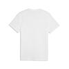 Puma GSK FtblESS Tee GALATASARAY FtblESSENTIALS Erkek Tişört