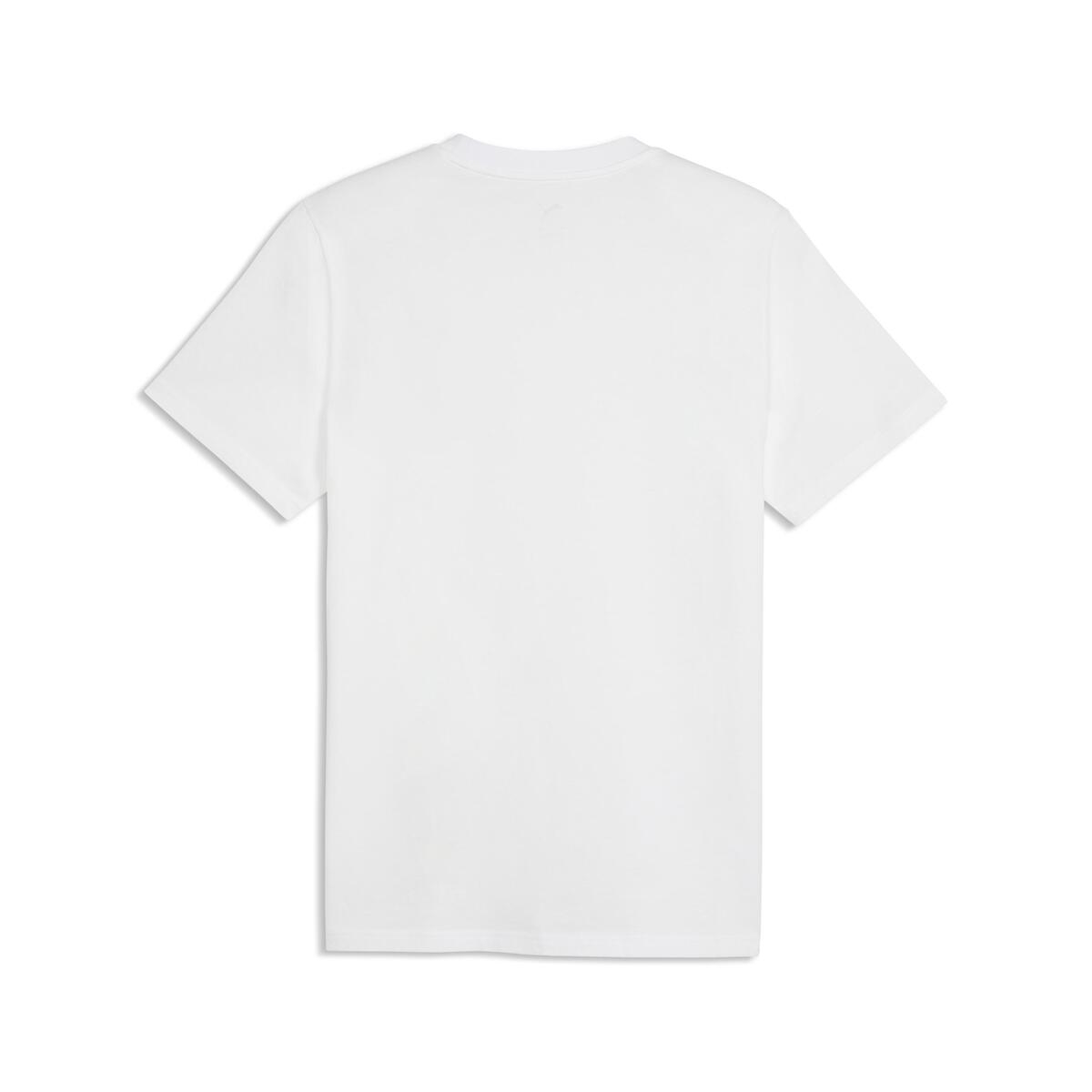 Puma GSK FtblESS Tee GALATASARAY FtblESSENTIALS Erkek Tişört