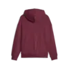 Puma HER Hoodie TR Bordo Kadın Sweatshirt