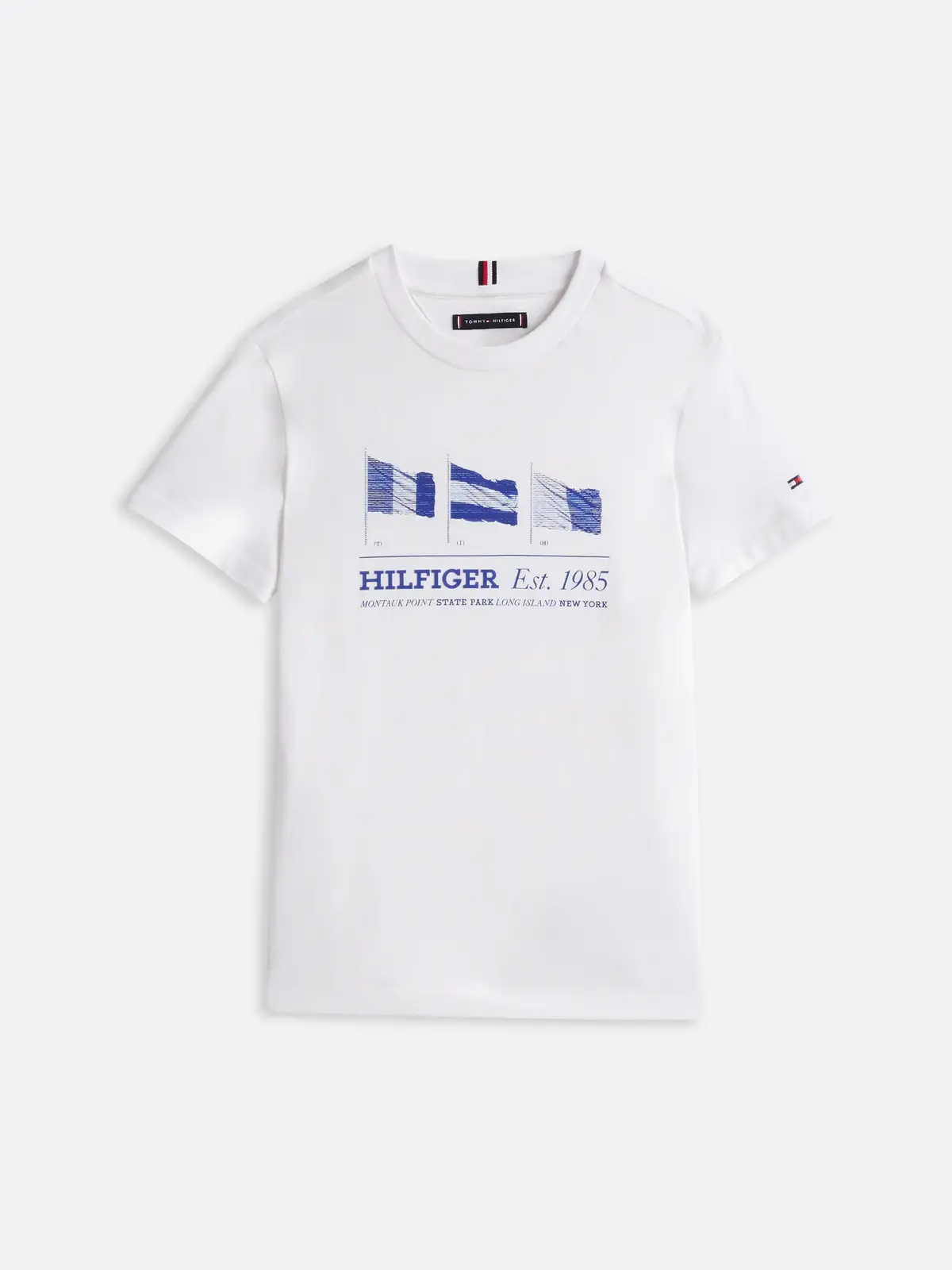 Tommy Hilfiger WAVING FLAG REG TEE, YBR Beyaz Erkek Çocuk Çocuk T-Shirt & Polo