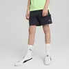 Puma EVOSTRIPE Shorts DK Erkek Şort