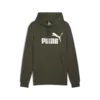 Puma ESS Big Logo Hoodie Yeşil Erkek Sweatshirt