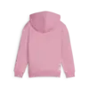 Puma X TROLLS Hoodie Pembe Erkek Sweatshirt