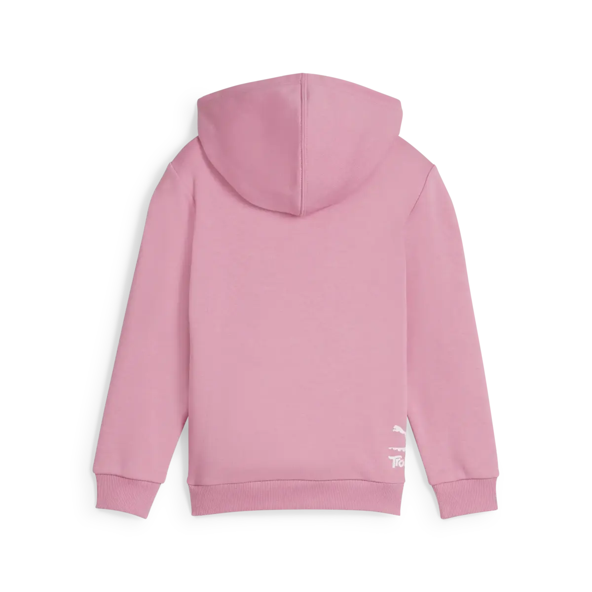 Puma X TROLLS Hoodie Pembe Erkek Sweatshirt