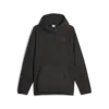 Puma CLASSICS UTILITY Hoodie Siyah Erkek Hoodie