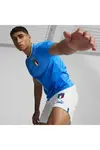 Puma Fıgc İç Saha Forması Ignite Blue Erkek Takım Forması