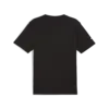 Puma F1 ESS Graphic Tee Siyah Erkek T-Shirt & Polo