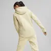 Puma EVOSTRIPE Full-Zip Hoodie Granola Kadın Hoodie