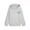 Puma X HOT WHEELS Hoodie Gri Erkek Çocuk Hoodie