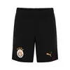 Puma GSK Casuals Shorts Siyah Erkek Şort