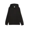 Puma ESS ELEVATED Satin Hoodie Siyah Kadın Hoodie
