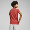 Puma MID90S Graphic Tee I Kırmızı Unisex T-Shirt & Polo
