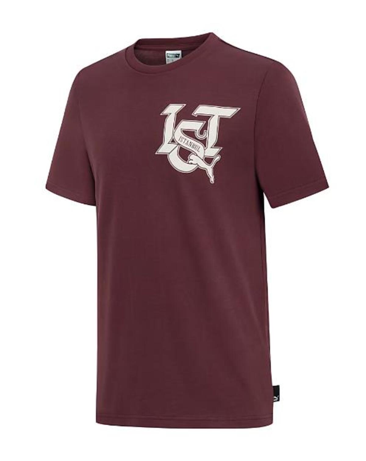 Puma Istanbul Graphic Tee Bordo Erkek T-Shirt