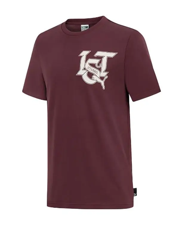 Puma Istanbul Graphic Tee Bordo Erkek T-Shirt