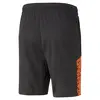 Puma individualCUP Antrenman Şortu