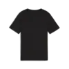 Puma ESS Logo Tee b Siyah Erkek T-Shirt & Polo