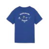 Puma DOWNTOWN Graphic Tee Mavi Erkek T-Shirt & Polo
