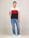 Tommy Hilfiger COLORBLOCK REG POLO, XNN Kırmızı Erkek T-Shirt