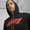 Puma F1 ESS Logo Hoodie Siyah Erkek Sweatshirt