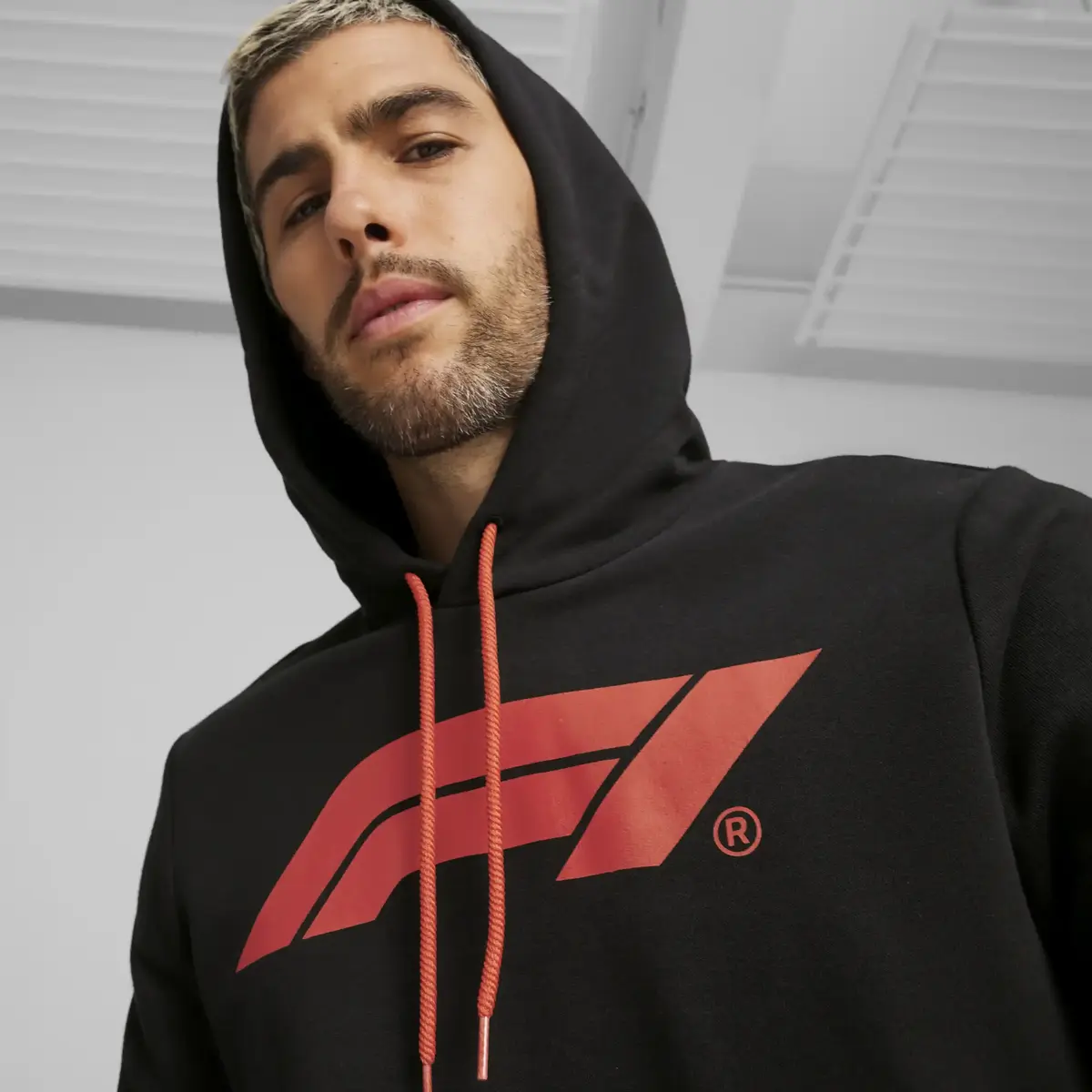 Puma F1 ESS Logo Hoodie Siyah Erkek Sweatshirt