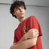 PUMA WARDROBE ESS Graphic Tee Kırmızı Erkek T-Shirt