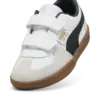 Puma Palermo lth V PS Erkek Spor Ayakkabı & Sneaker