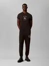 350TERRY EU CREST GR, UB1