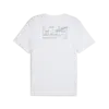 PUMA GRAPHICS RUNNING ILLUSTRATIO Beyaz Erkek T-Shirt