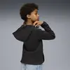 Puma EVOSTRIPE Full-Zip Hoodie Siyah Unisex Sweatshirt