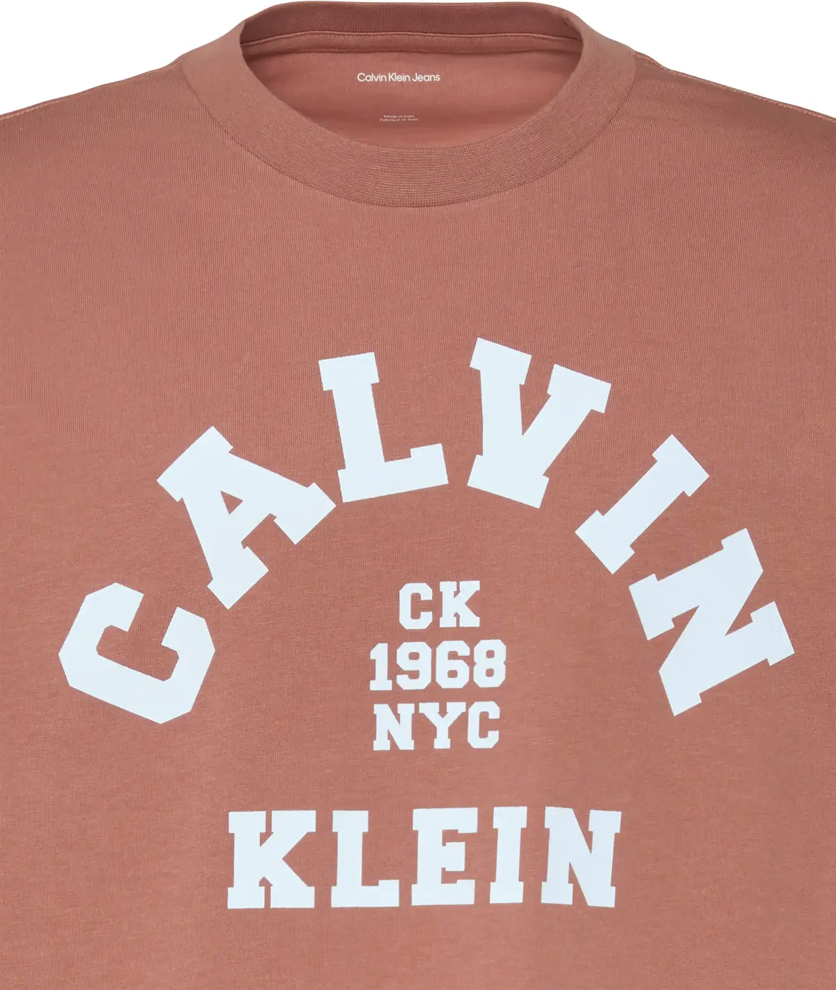 Calvin Klein SS 20S LN CALVIN COLLEGE GRAPHIC Erkek Turuncu T-Shirt