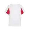 Puma ACM ftblARCHIVE Tee Beyaz Erkek T-Shirt