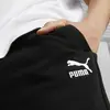 Puma Classics Small Logo Sweatpants FL Siyah Erkek/Unisex Eşofman Altı