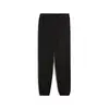 PUMA FUTURE.PUMA.ARCHIVE Pants Siyah Erkek Eşofman Altı