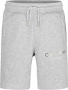 Calvin Klein COLOR BLOCK SHORTS Erkek Gri Şort
