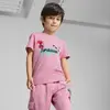 Puma X TROLLS Tee Pembe Unisex T-Shirt & Polo