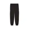 Puma BMW MMS SWEAT PANTS REG/CC Siyah Erkek Eşofman Altı