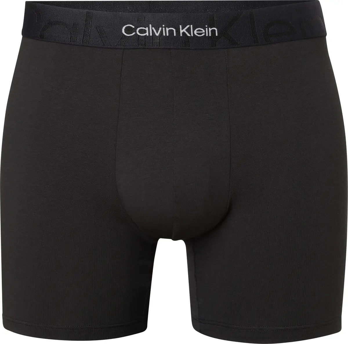 Calvin Klein BOXER BRIEF Erkek Siyah Boxer