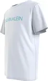 Calvin Klein INSTITUTIONAL T-SHIR Erkek Beyaz T-Shirt